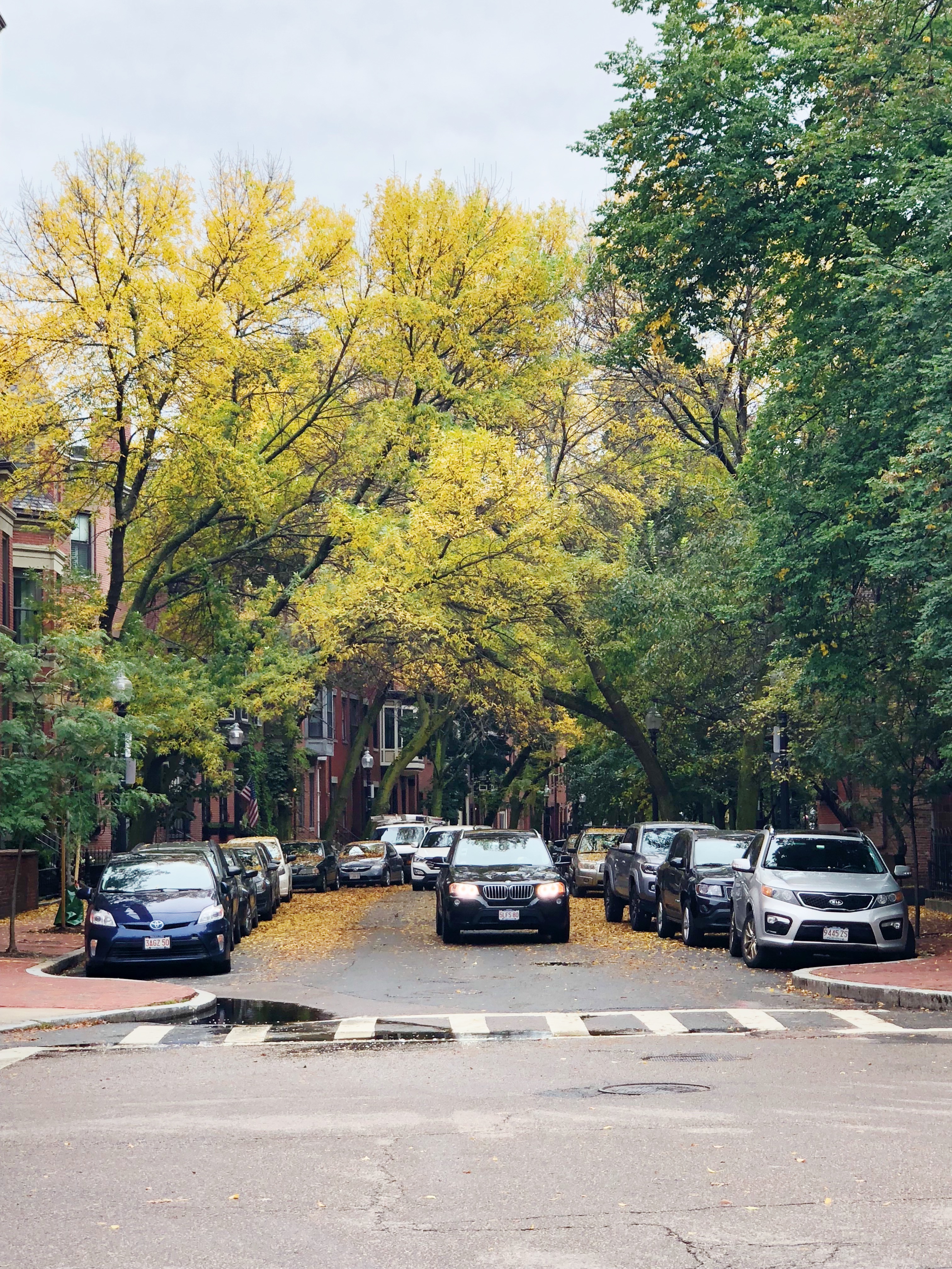 299FF6A3-DDAB-404C-AB0F-B39468F781AE