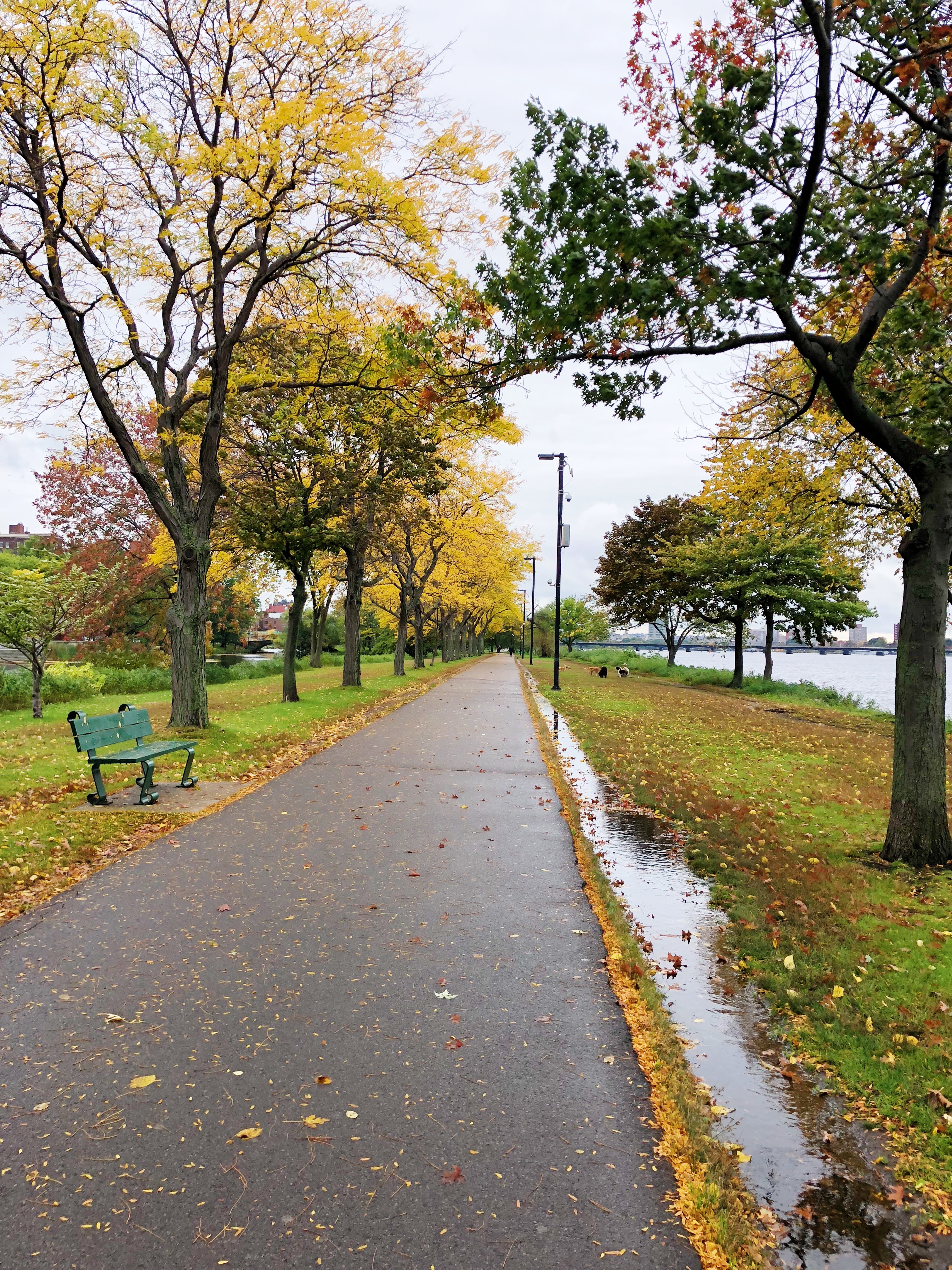 3B55B98B-A8A4-4AF3-A946-C05158C163FA