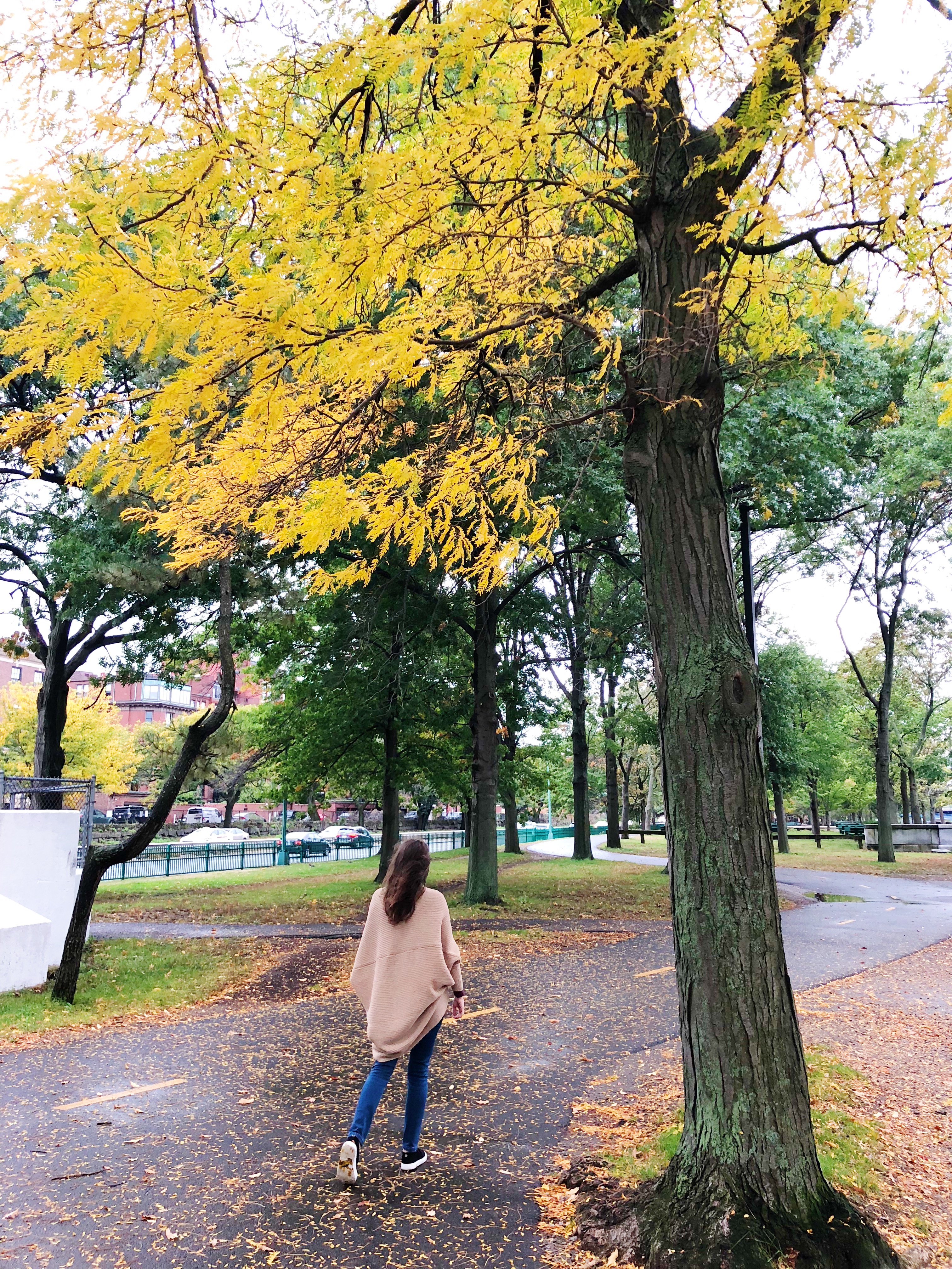 482C5901-208D-4972-BBC0-20D8A01310FD