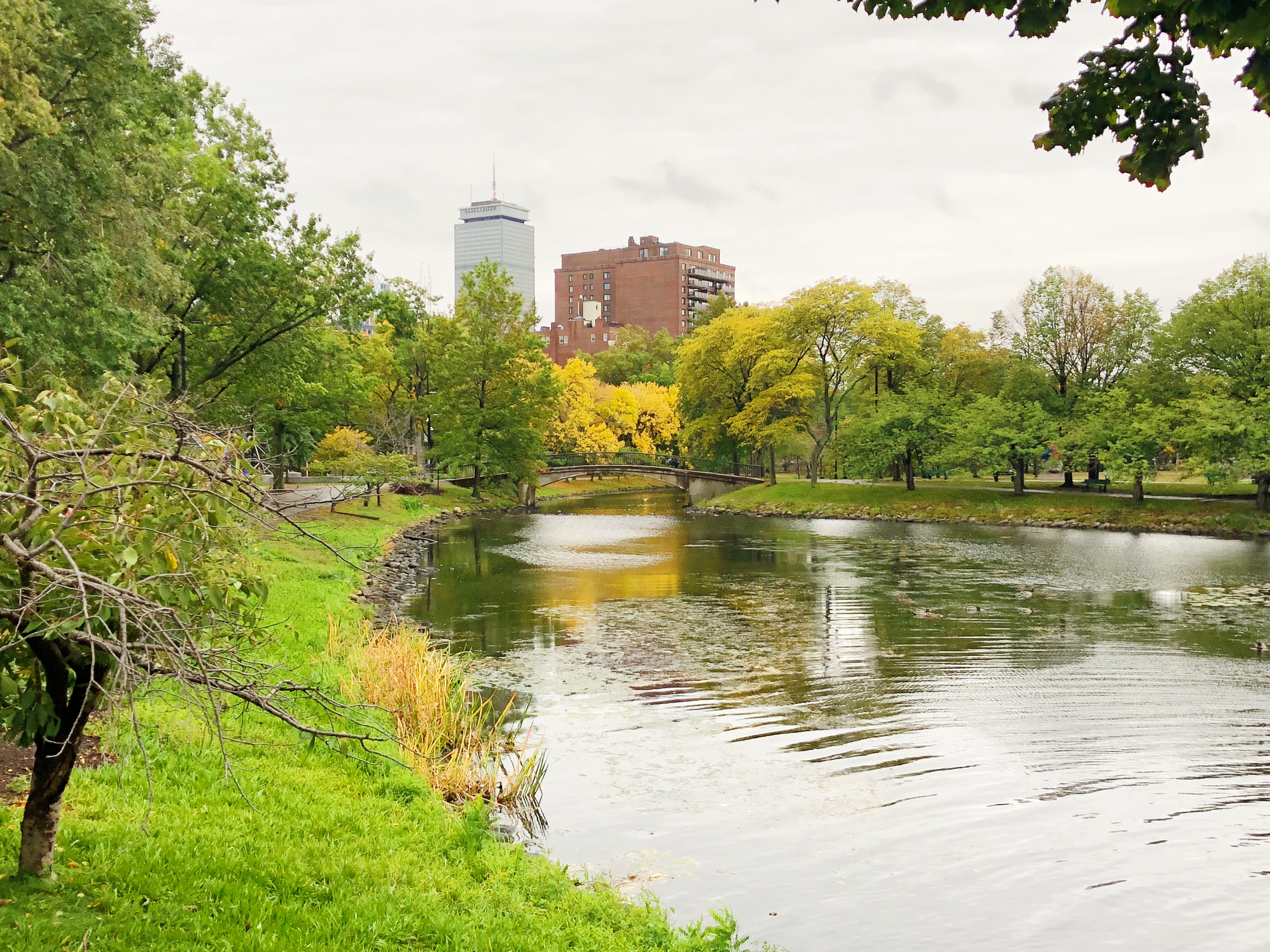 B471EFE6-516E-4985-A78F-B1D39E86D04B